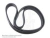 BLUE PRINT AD05R720 V-Ribbed Belts